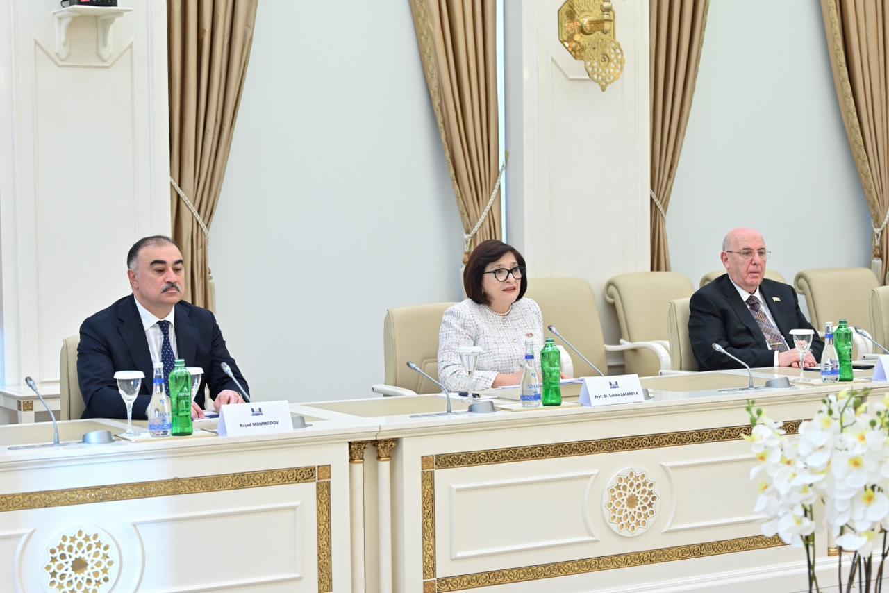 Sahibə Qafarova Türkiyənin Vitse-prezidenti Cevdet Yılmazla görüşüb