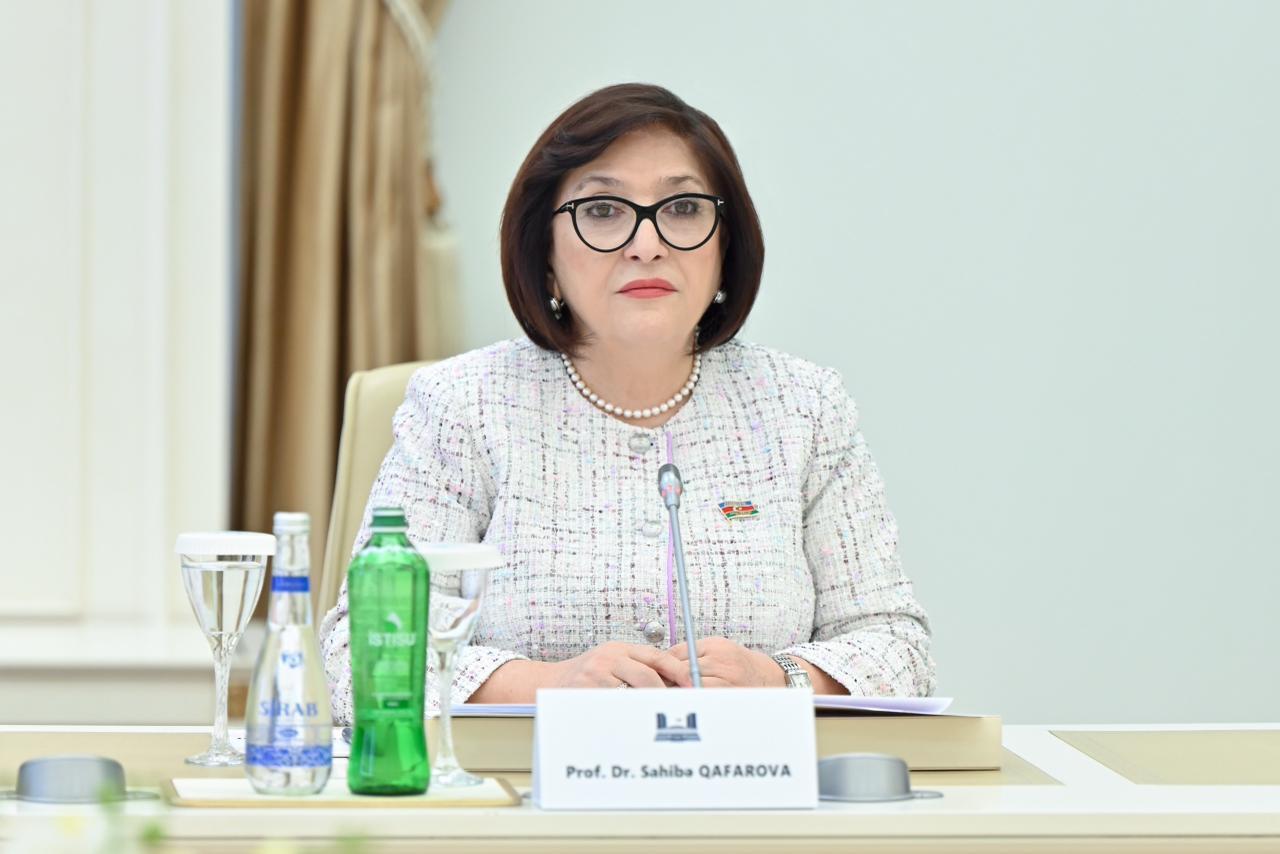 Sahibə Qafarova Türkiyənin Vitse-prezidenti Cevdet Yılmazla görüşüb