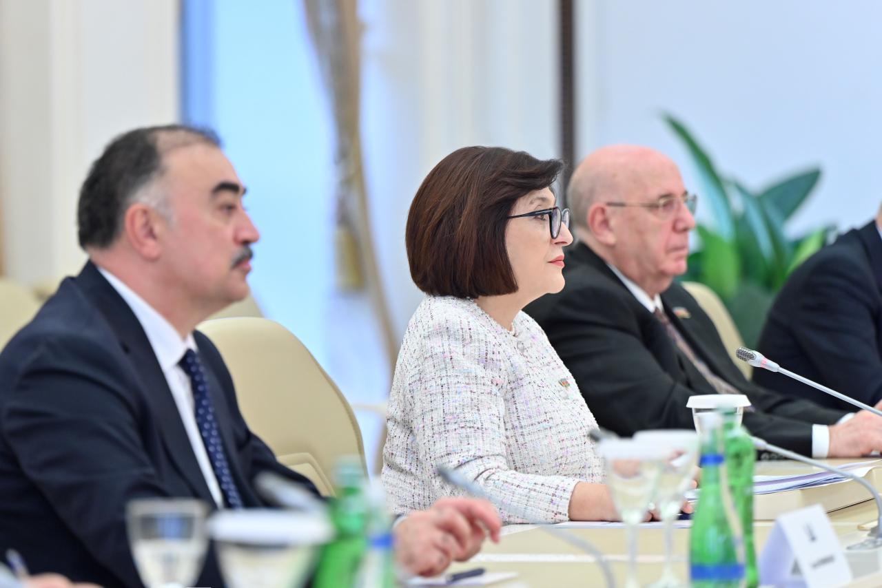 Sahibə Qafarova Türkiyənin Vitse-prezidenti Cevdet Yılmazla görüşüb