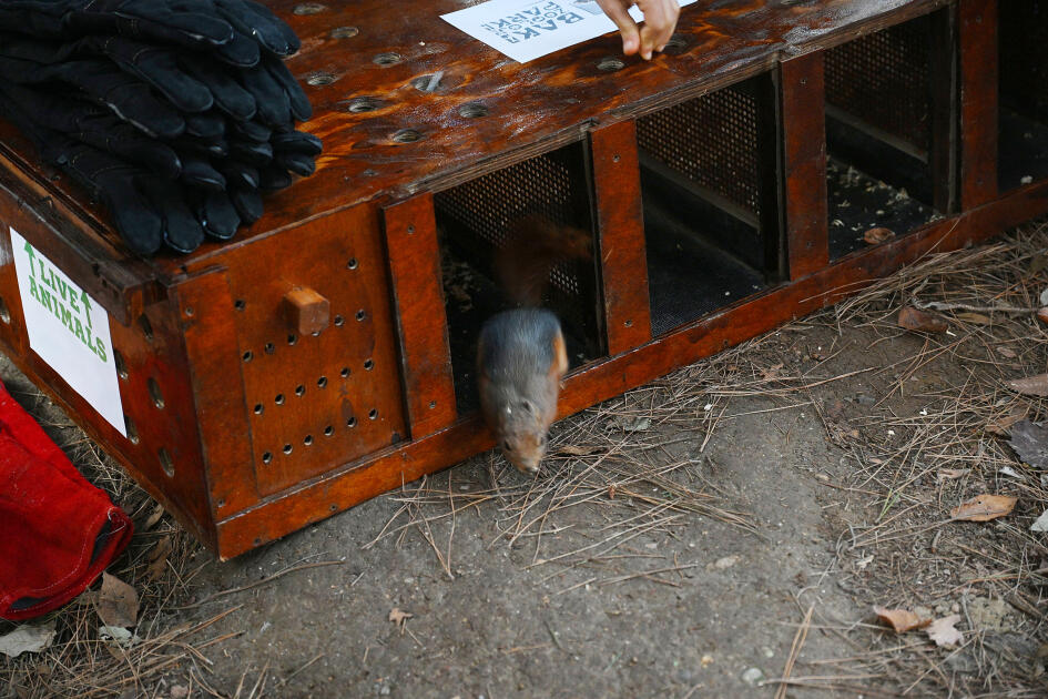 Heydər Əliyev Fondunun vitse-prezidenti Leyla Əliyeva Mərkəzi Nəbatat bağında uşaqlar üçün təşkil olunan tədbirdə iştirak edib