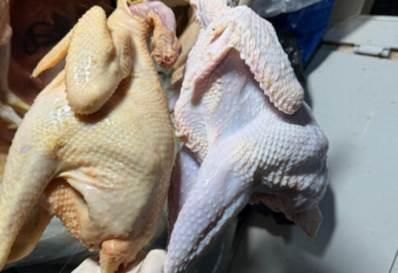 Бройлерных кур продают под видом "деревенских"