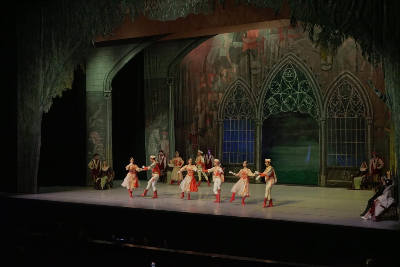 Балет "Лебединое озеро" представили в Баку с участием ведущих солистов Франции и Беларуси