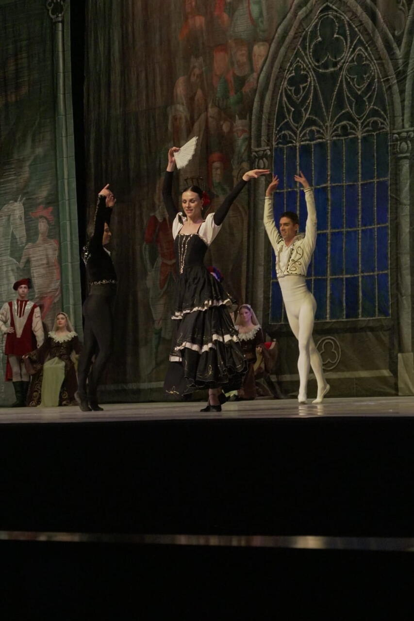 Балет "Лебединое озеро" представили в Баку с участием ведущих солистов Франции и Беларуси