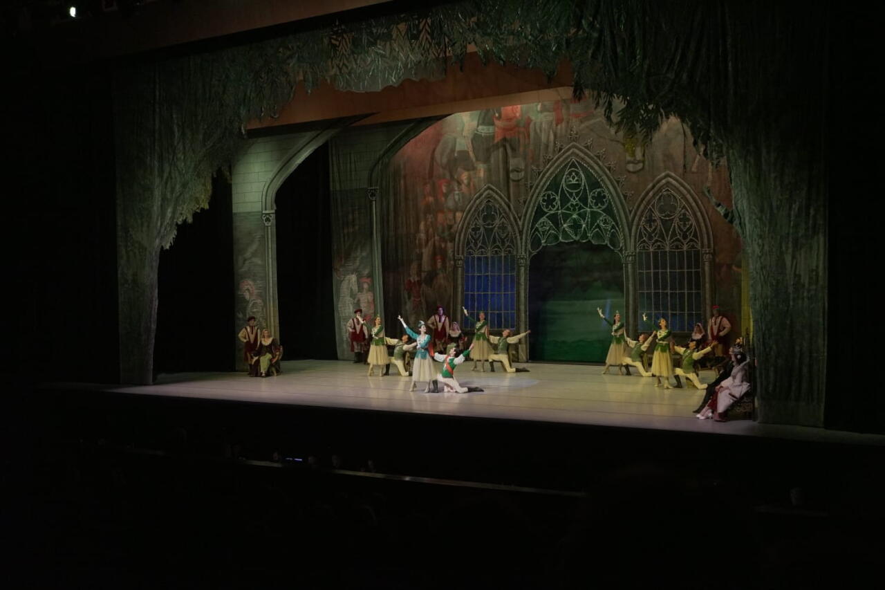 Балет "Лебединое озеро" представили в Баку с участием ведущих солистов Франции и Беларуси