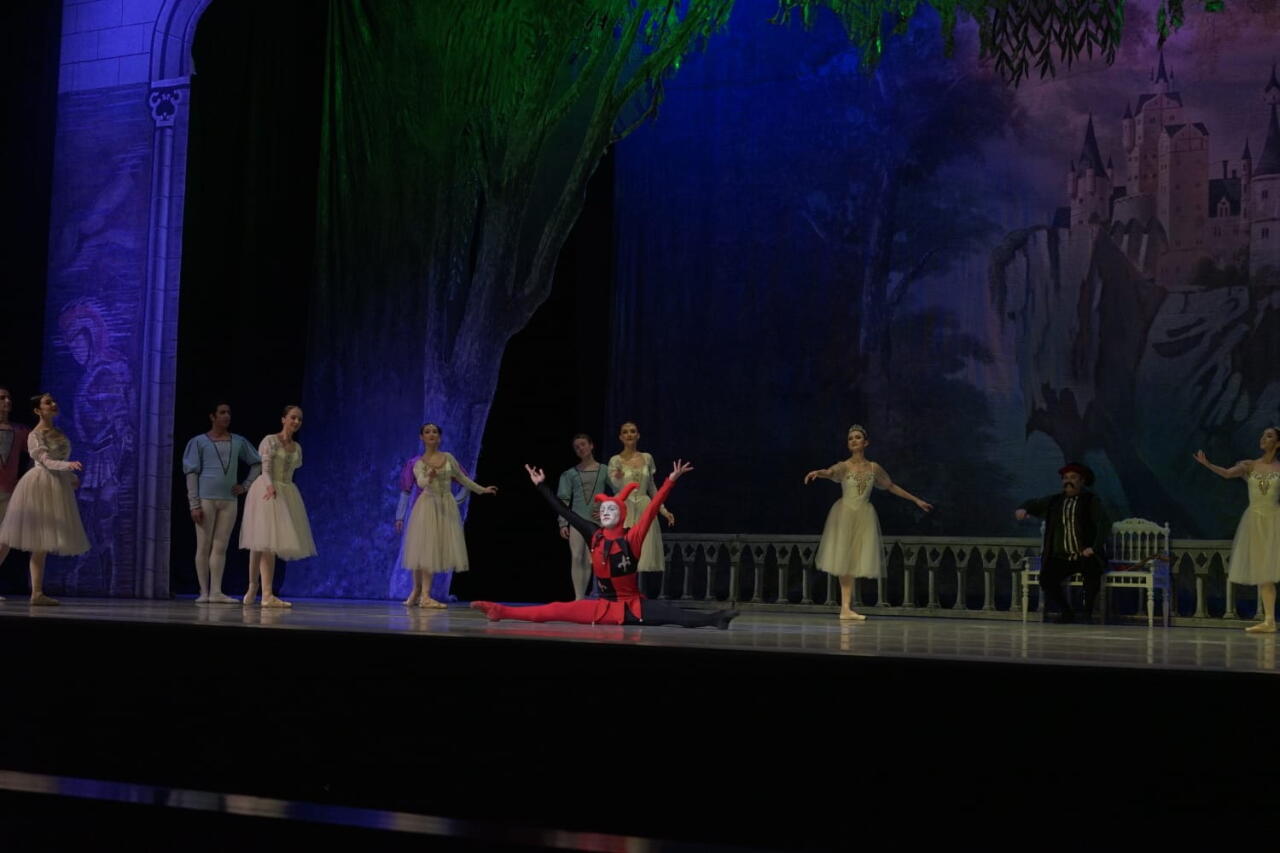 Балет "Лебединое озеро" представили в Баку с участием ведущих солистов Франции и Беларуси