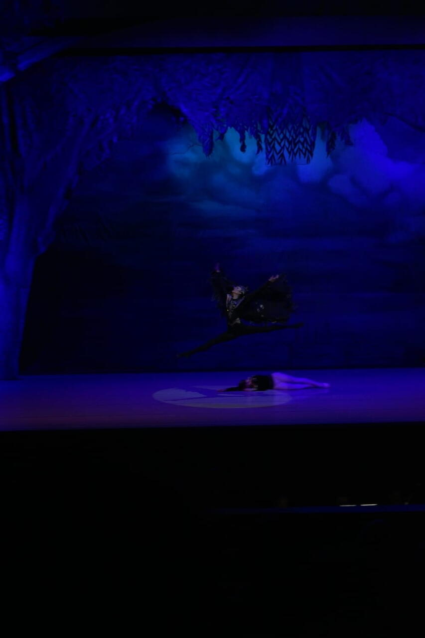 Балет "Лебединое озеро" представили в Баку с участием ведущих солистов Франции и Беларуси