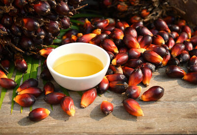 Почему надо покупать продукты без пальмового масла к Новому году?