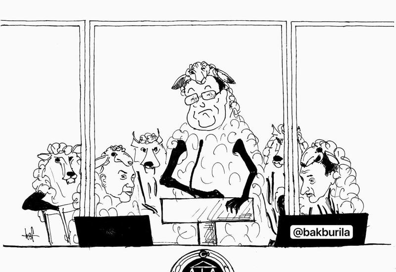 "Невинные овечки" ждут приговора