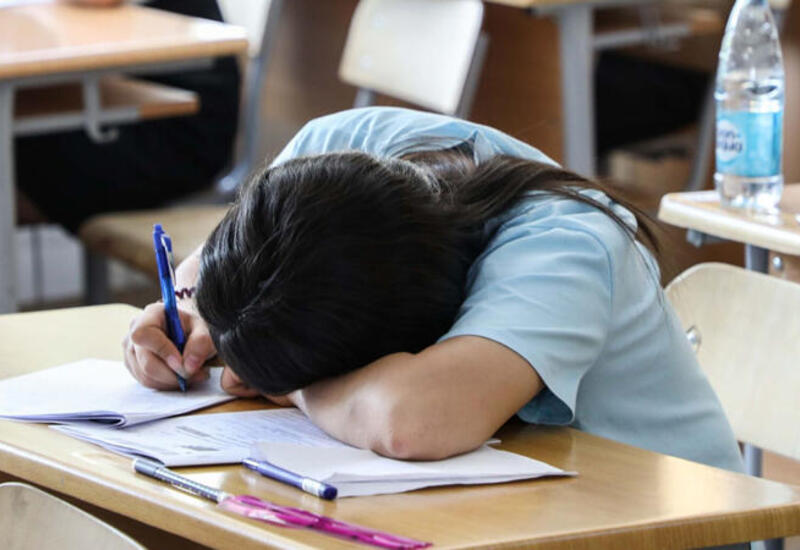 Большинство обучавшихся за рубежом не смогли сдать экзамен