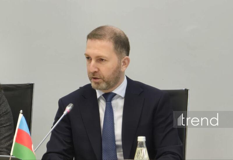 Azərbaycandan Türkiyəyə “yaşıl enerji” ixracı üzrə layihələr dəyərləndirilir