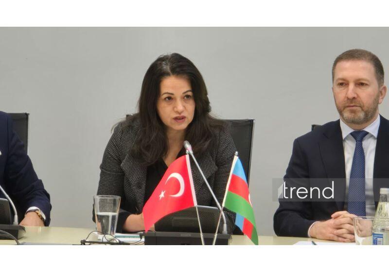 Турция нацелена на достижение соглашения о свободной торговле с Азербайджаном