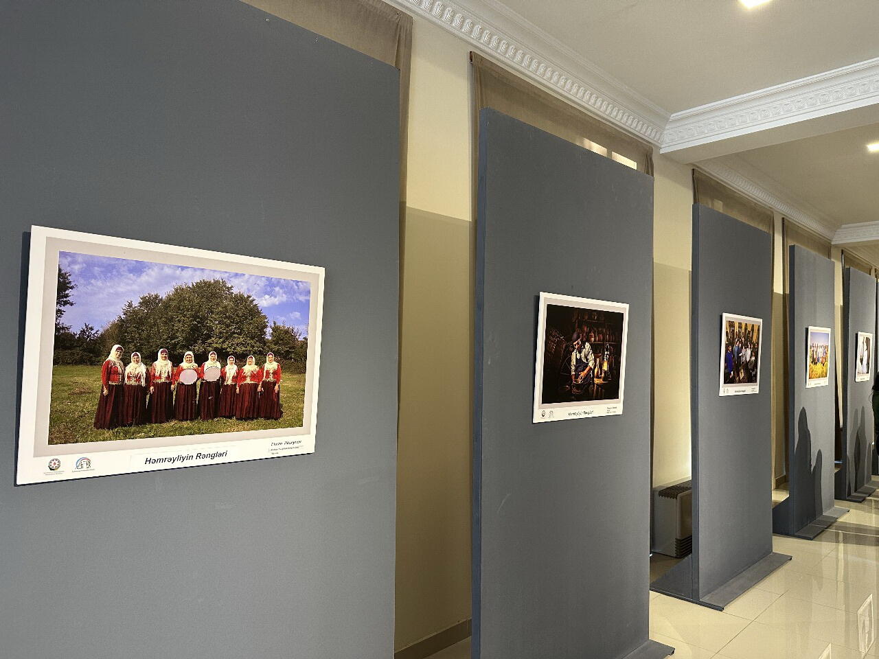 В Гянджинской государственной филармонии открылась выставка "Цвета солидарности"