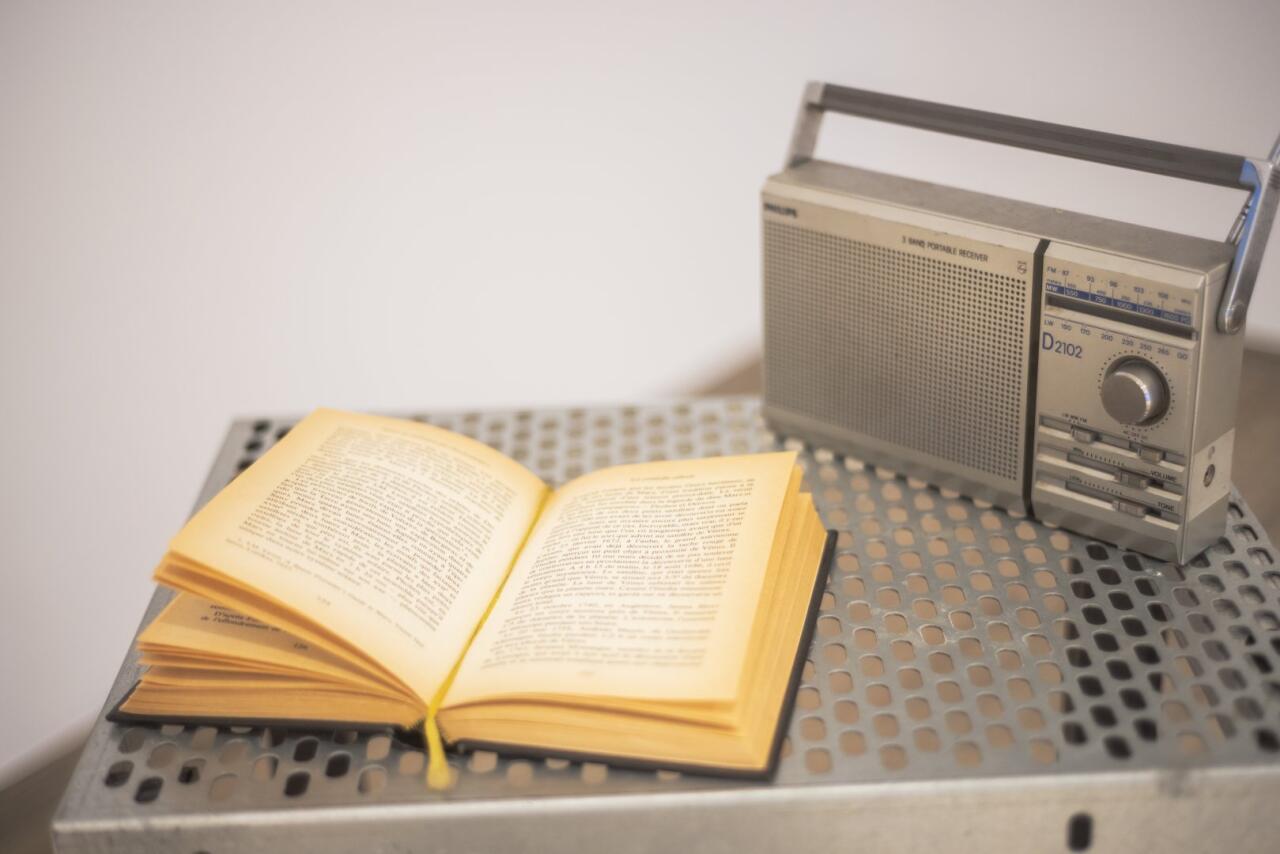 Под азербайджанским кураторством в Германии прошла выставка "Человек и природа в эпоху одиночества"