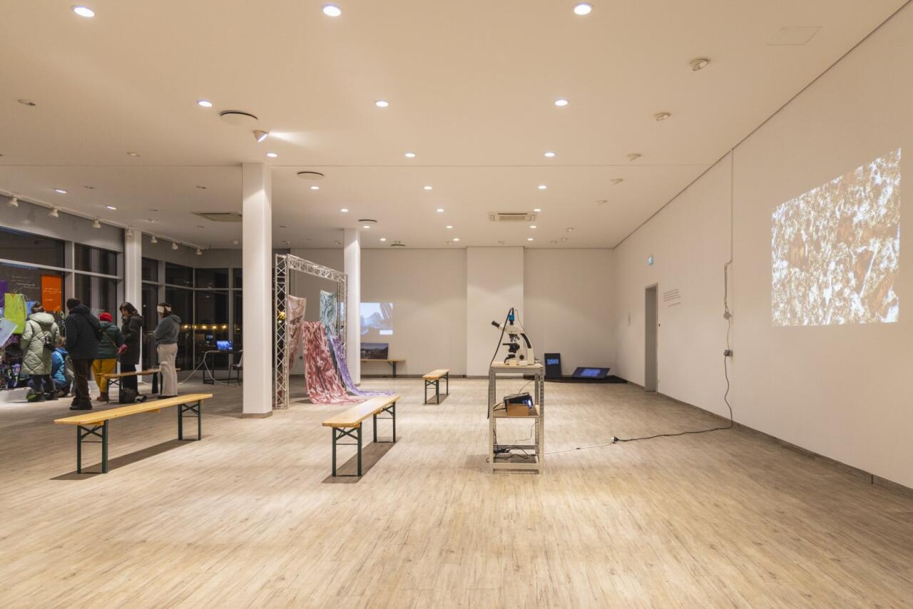 Под азербайджанским кураторством в Германии прошла выставка "Человек и природа в эпоху одиночества"