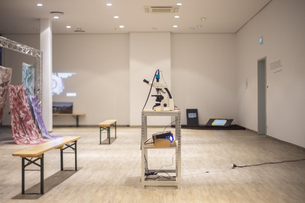 Под азербайджанским кураторством в Германии прошла выставка "Человек и природа в эпоху одиночества"