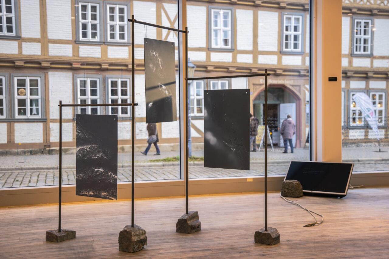 Под азербайджанским кураторством в Германии прошла выставка "Человек и природа в эпоху одиночества"