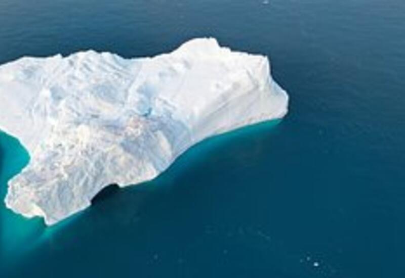 У берегов Гренландии обнаружили глубинную экосистему