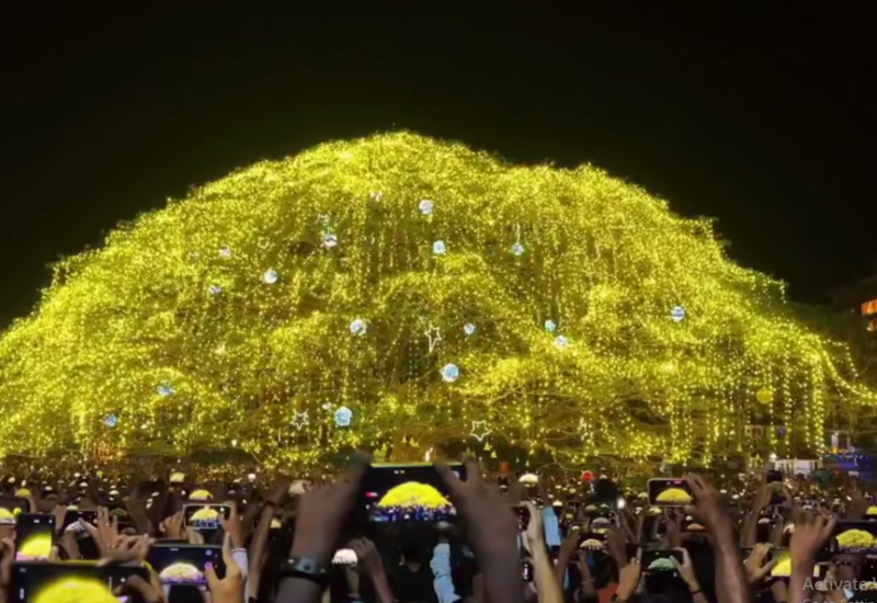 В этом городе дерево украсили тысячей гирлянд