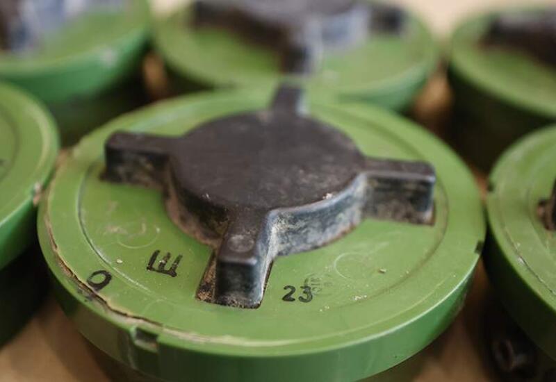 Литва вышла из Оттавской конвенции по противопехотным минам