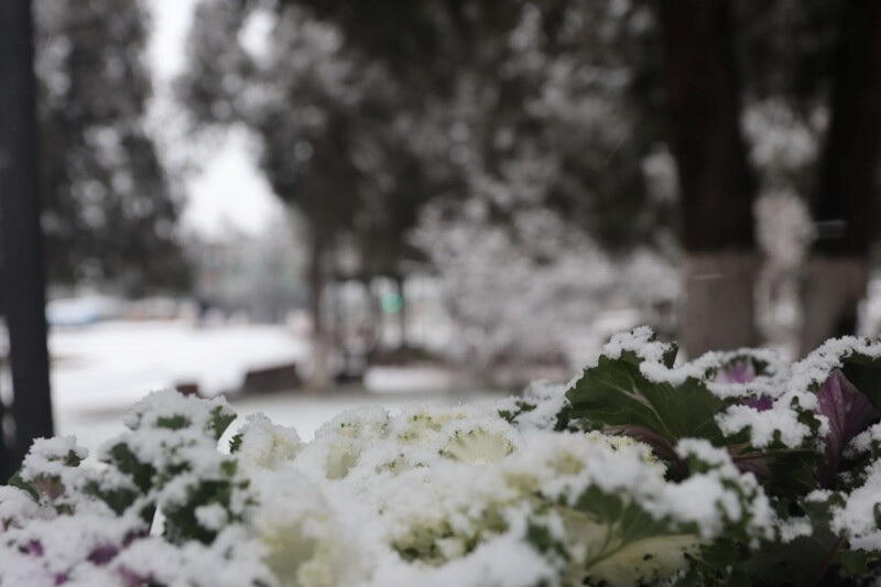 В Ханкенди выпал первый снег