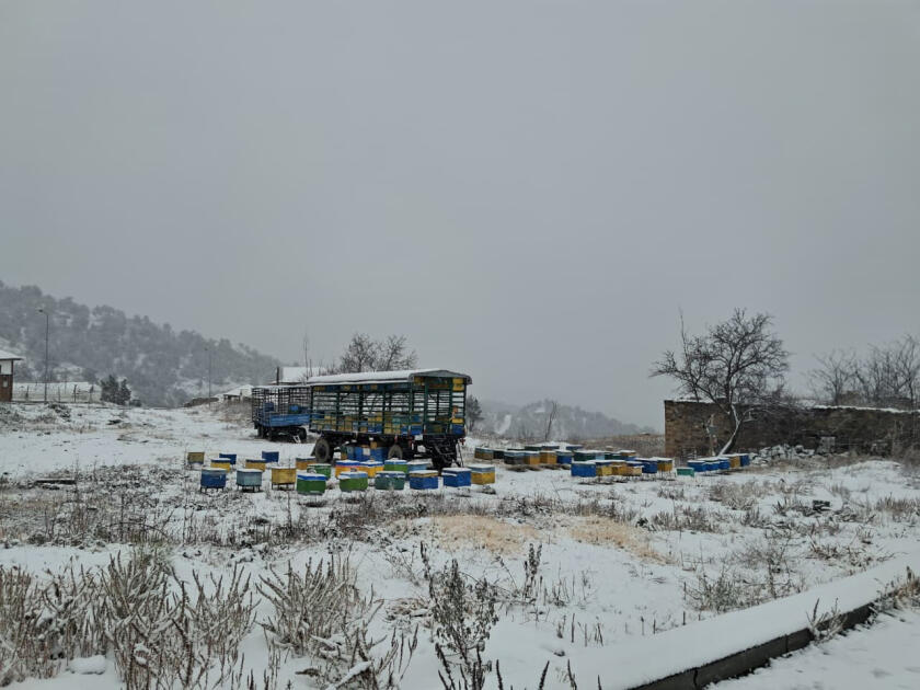 В Лачине выпал первый снег