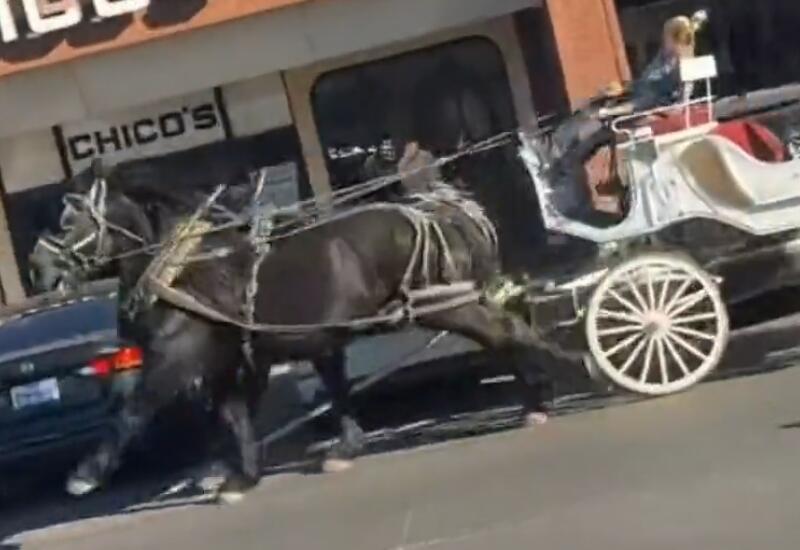 Вот что бывает, если не дать лошади отдохнуть