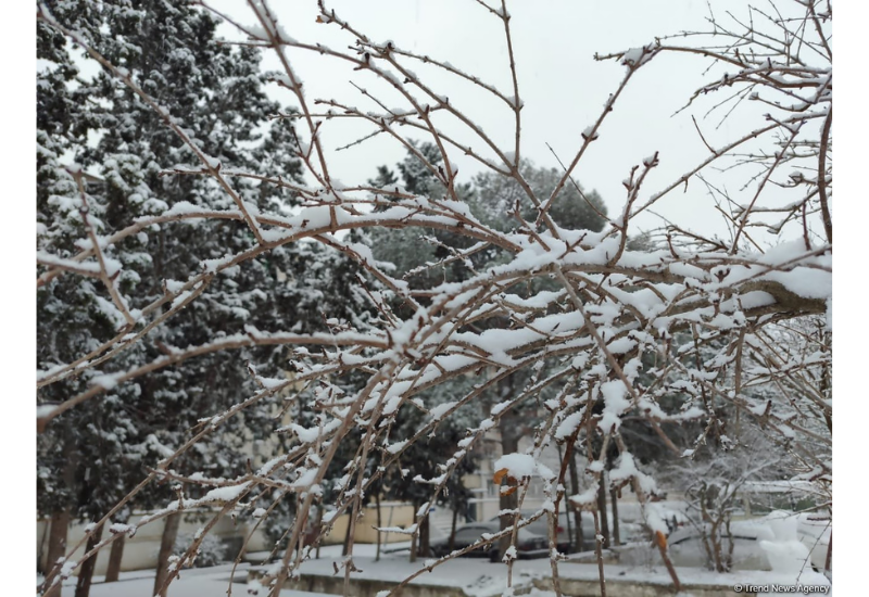 Высота снежного покрова в Нахчыванской АР превысила 20 см