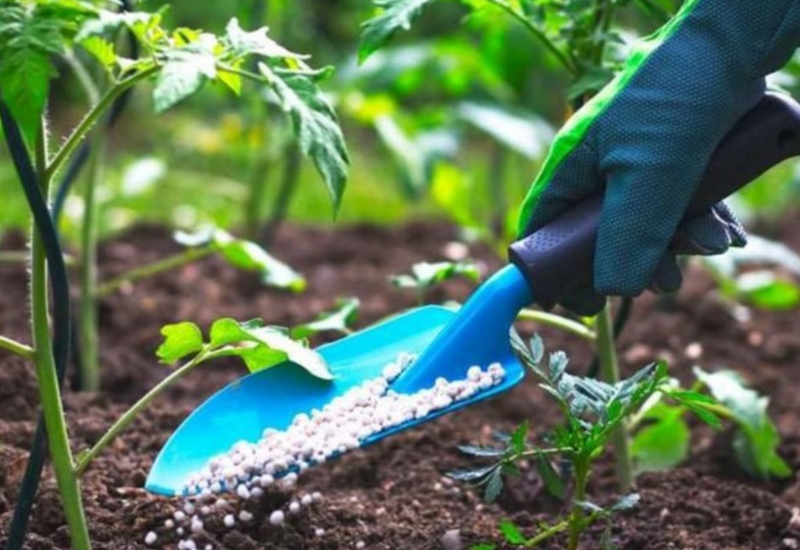 Kənd təsərrüfatı sahəsində istifadə olunan orqanomineral gübrələrin idxalı və satışı ƏDV-dən azad edilir