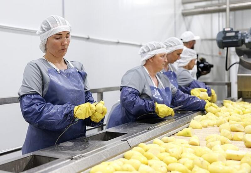 Назван неочевидный фактор риска жировой болезни печени