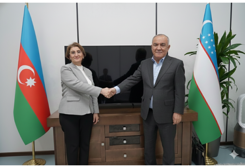 "Узбекнефтегаз" и SOCAR обсудили ход геолого-разведочных работ на Устюрте