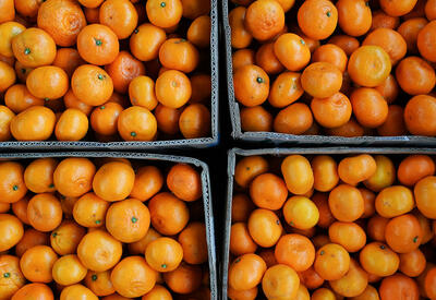 Врач предупредила о скрытой опасности цедры мандаринов