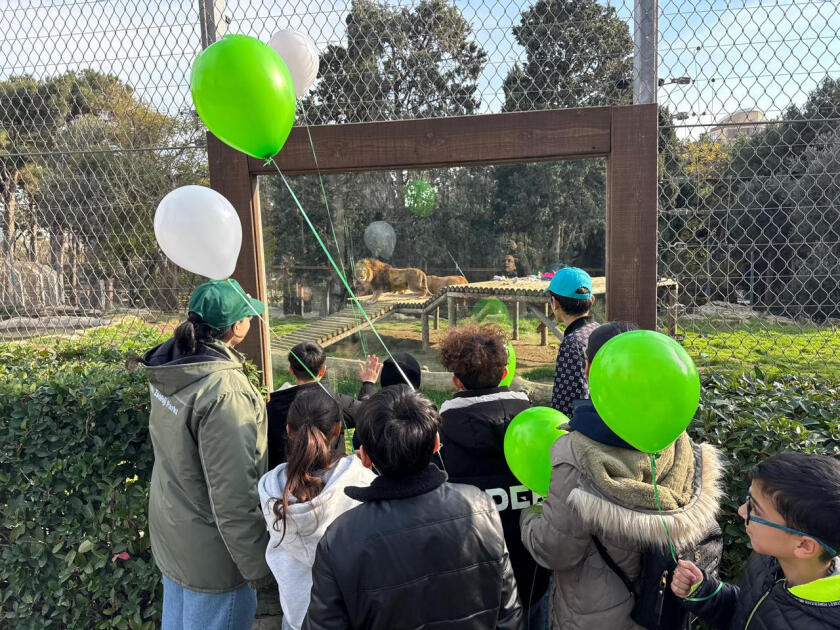 Heydər Əliyev Fondunun vitse-prezidenti Leyla Əliyevanın təşəbbüsü ilə Bakı Zooloji Parkında uşaqlar üçün bayram tədbiri təşkil olunub