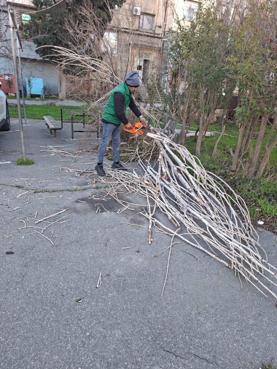 В Баку сильный ветер повалил деревья