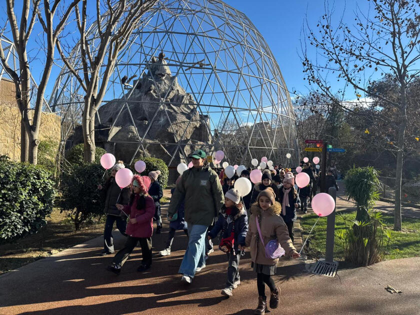 Heydər Əliyev Fondunun vitse-prezidenti Leyla Əliyevanın təşəbbüsü ilə Bakı Zooloji Parkında uşaqlar üçün bayram tədbiri təşkil olunub