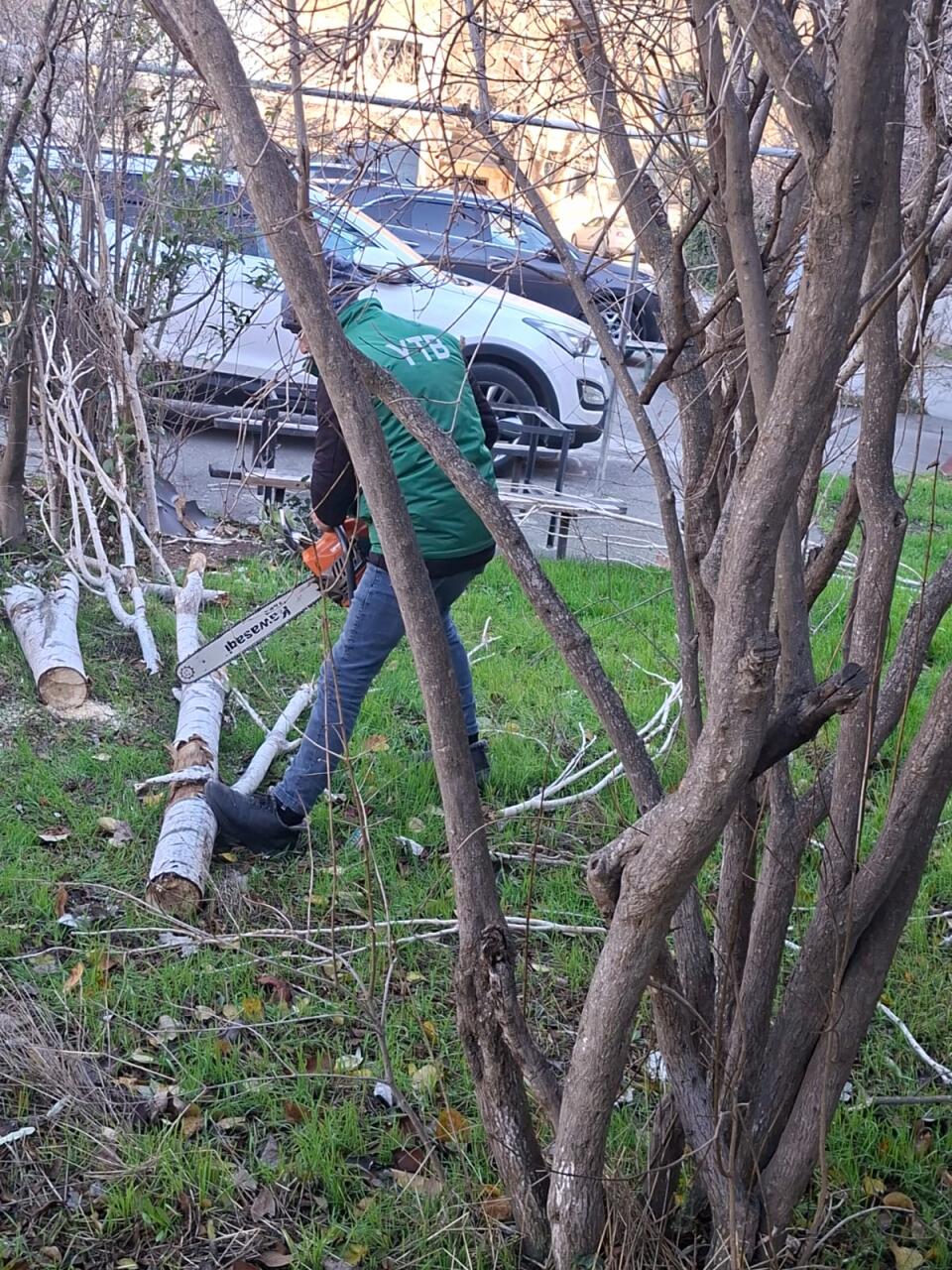 В Баку сильный ветер повалил деревья