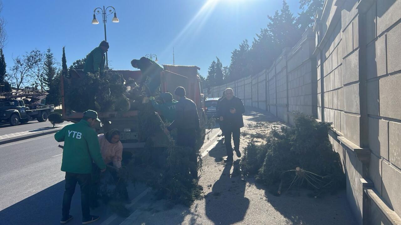 В Баку сильный ветер повалил деревья