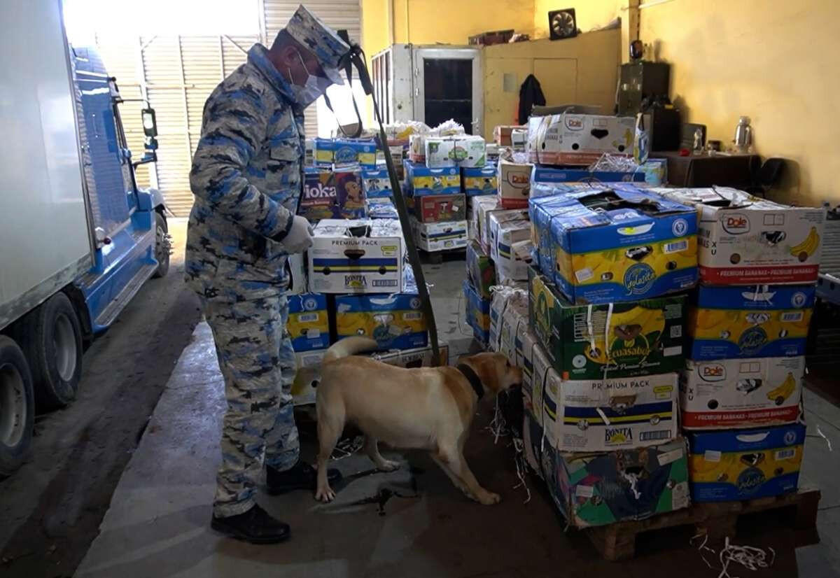 Пресечена попытка перевозки наркотиков из Ирана в Россию через Азербайджан