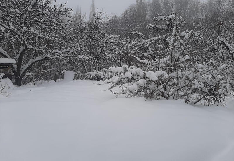 Bu rayona 43 sm qar yağdı