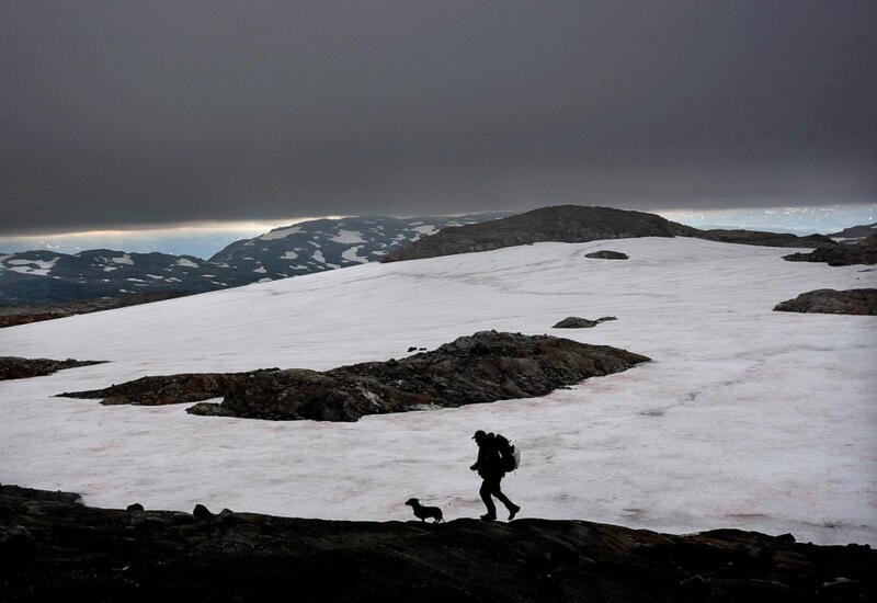 Норвежский ледник оказался на грани исчезновения