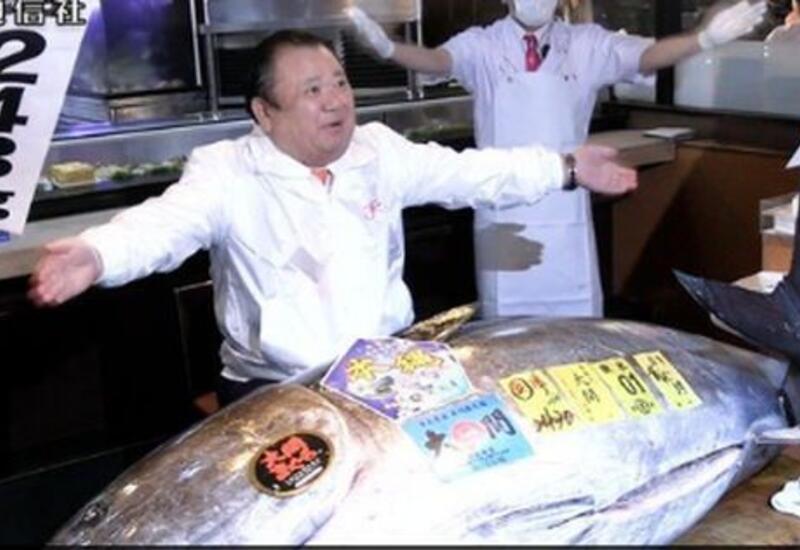 Голубой тунец продан на аукционе в Токио за рекордную сумму