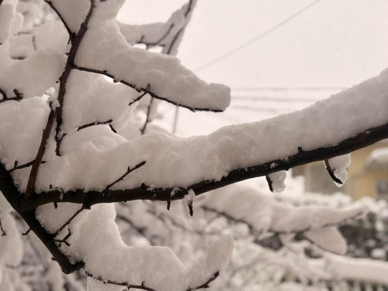 Босния и Герцеговина в снегу