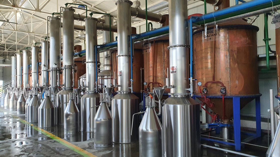 Розовое масло из Загаталы вышло на рынки Европы и арабских стран