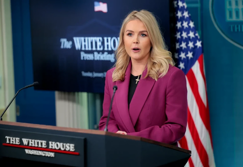 Трамп обсуждает возможность покупки Гренландии