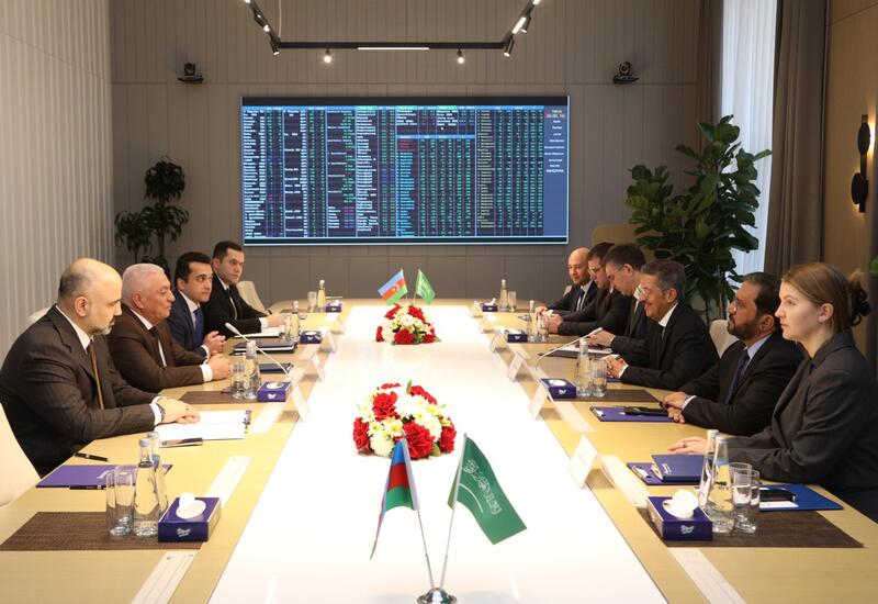 Азербайджан и ACWA Power обсудили развитие возобновляемой энергетики