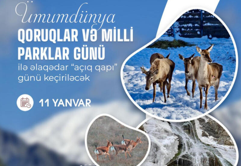 В нацпарках Азербайджана пройдет День открытых дверей