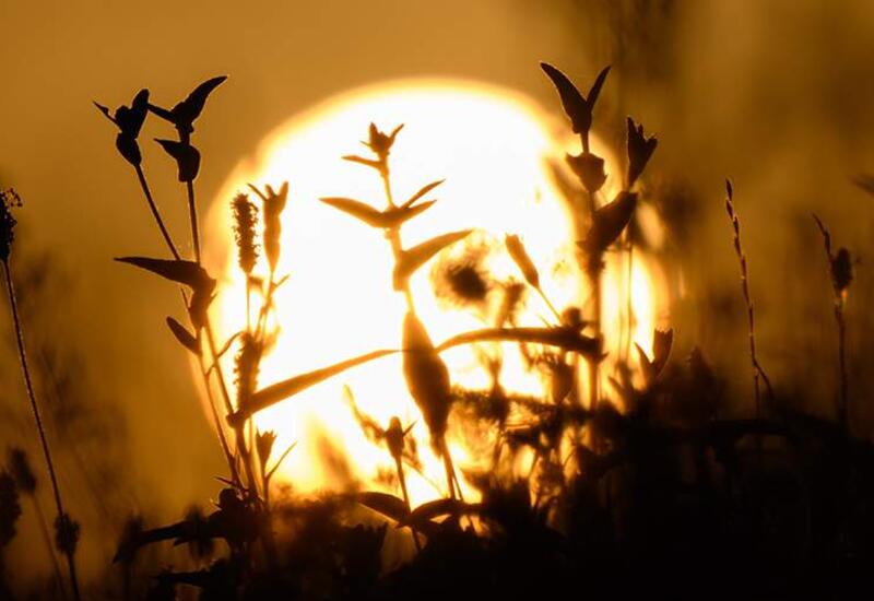 Стало известно, когда повторится сближение Венеры и Марса с Солнцем