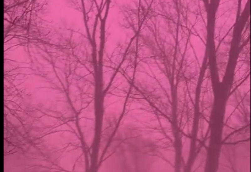 В США прошла редкая розовая метель