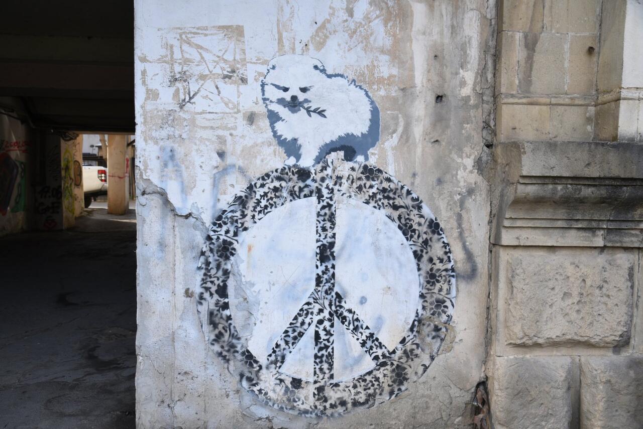 Искусство граффити на улицах Баку - живой организм, способный чувствовать, говорить и меняться