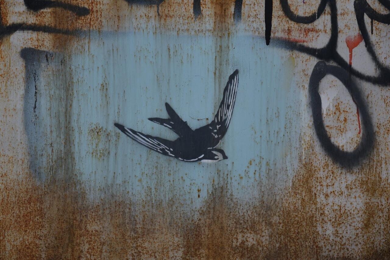 Искусство граффити на улицах Баку - живой организм, способный чувствовать, говорить и меняться