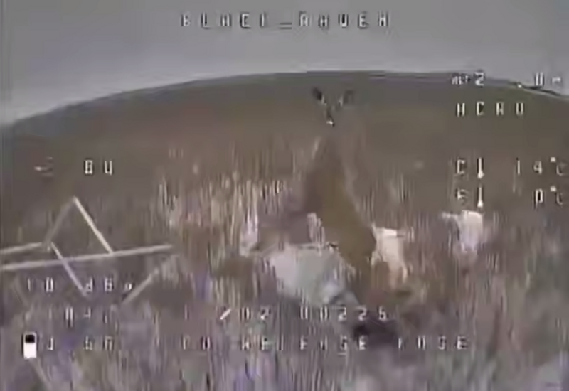 Олень едва не поймал российский дрон